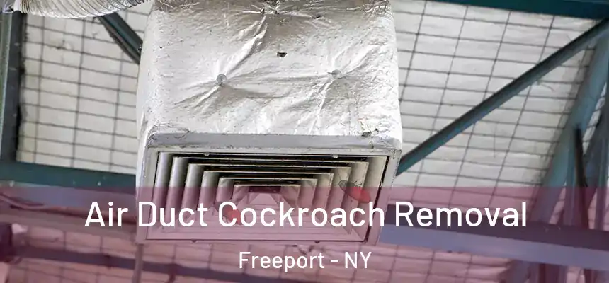  Air Duct Cockroach Removal Freeport - NY