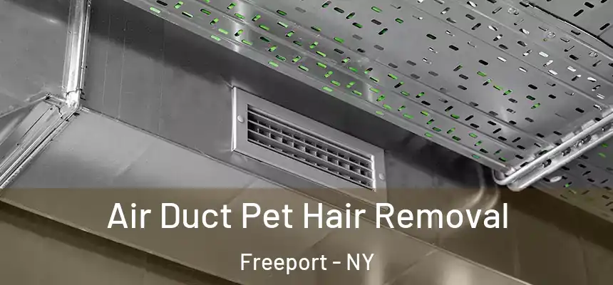 Air Duct Pet Hair Removal Freeport - NY