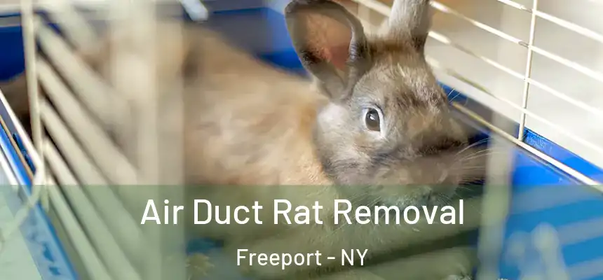  Air Duct Rat Removal Freeport - NY