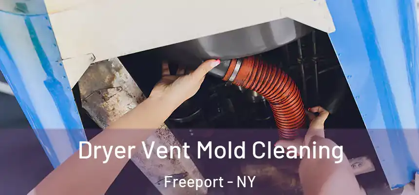 Dryer Vent Mold Cleaning Freeport - NY