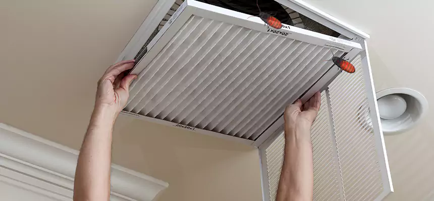 Preventive Cockroach-Proofing for Ducts in Freeport