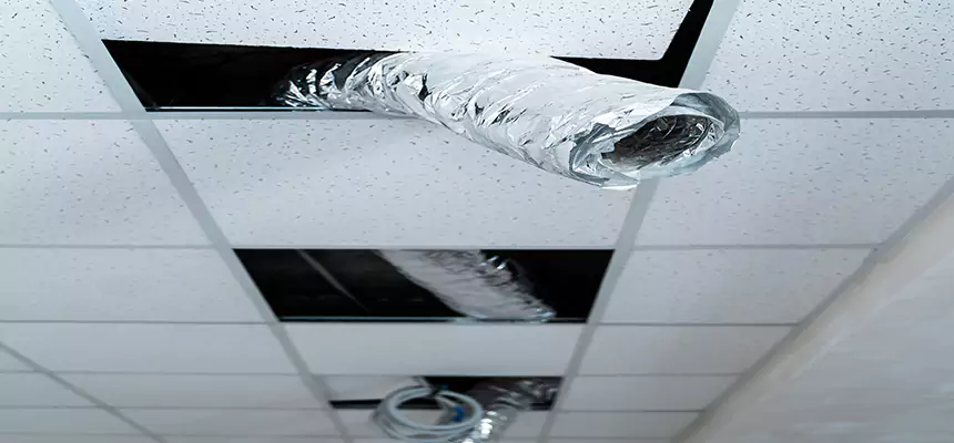 Our Air Duct Pet Hair Removal Services in Freeport, NY