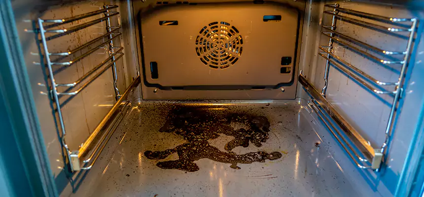 Our Dryer Vent Mold Cleaning Services in Freeport, NY