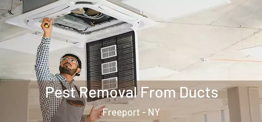  Pest Removal From Ducts Freeport - NY