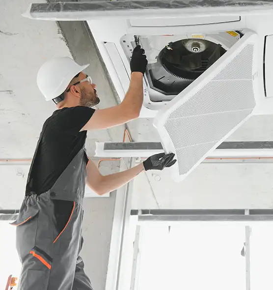 About Air Duct Rodent Removal in Freeport, NY