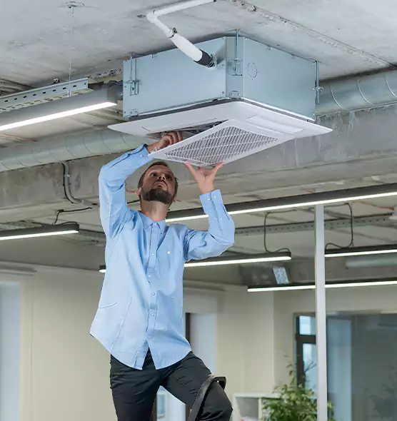 Advanced Rodent Droppings In Vents in Freeport, NY