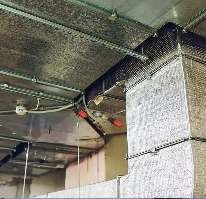 Why Homeowners & Businesses Trust Us in Freeport, NY?