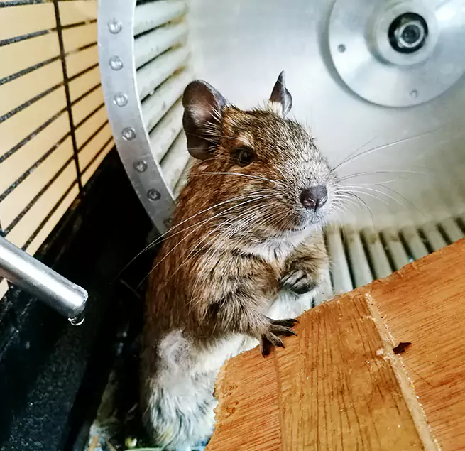 Why Homeowners & Businesses Trust Us Freeport, NY?