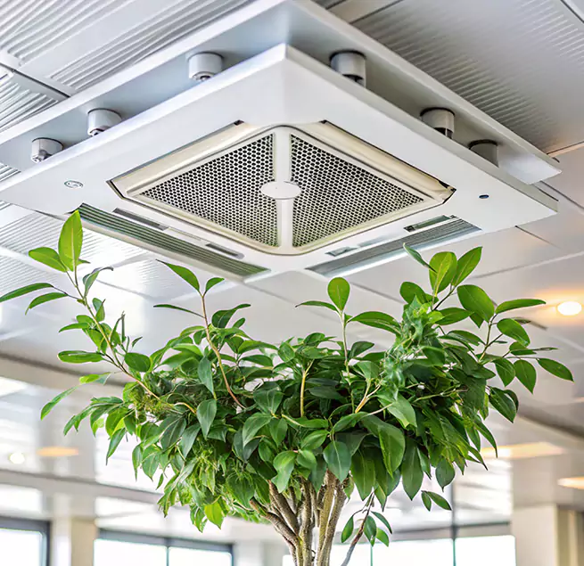 Why Homeowners & Businesses Trust Us in Freeport, NY