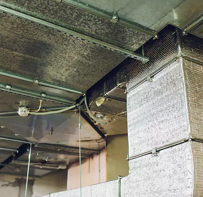 Why Homeowners & Businesses Trust Us in Freeport, NY?